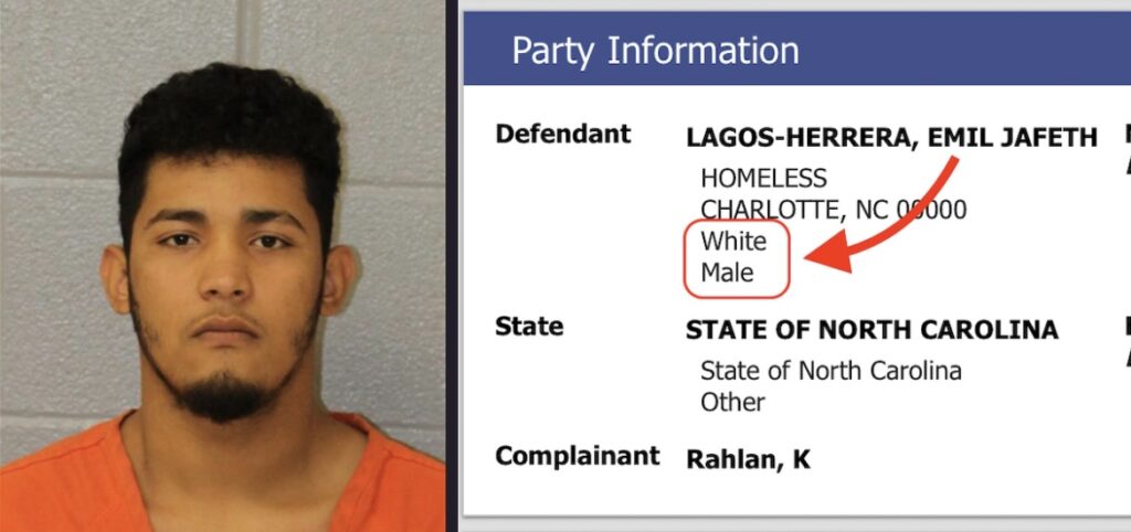 The Statistical Mirage of Race in American Crime Data screenshot