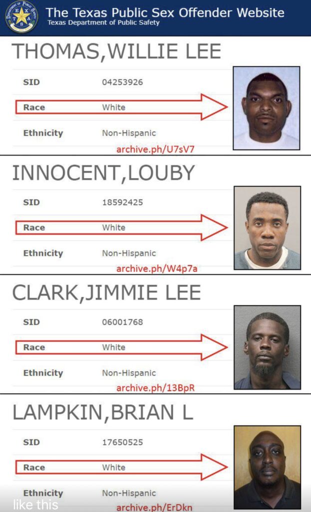 The Statistical Mirage of Race in American Crime Data screenshot